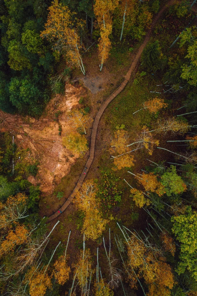 Vue aérienne d'un chemin en forêt d'automne, sophrologie à Narbonne pour retrouver l'équilibre