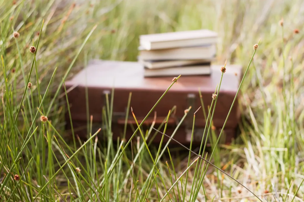 Livres posés dans l'herbe, parcours et formation de Véronique Marquier, sophrologue à Narbonne