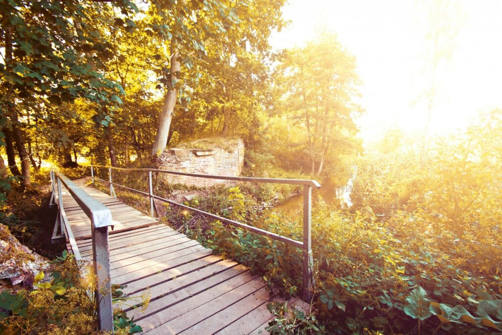 Chemin forestier baigné de soleil, sophrologie pour adultes et adolescents à Narbonne