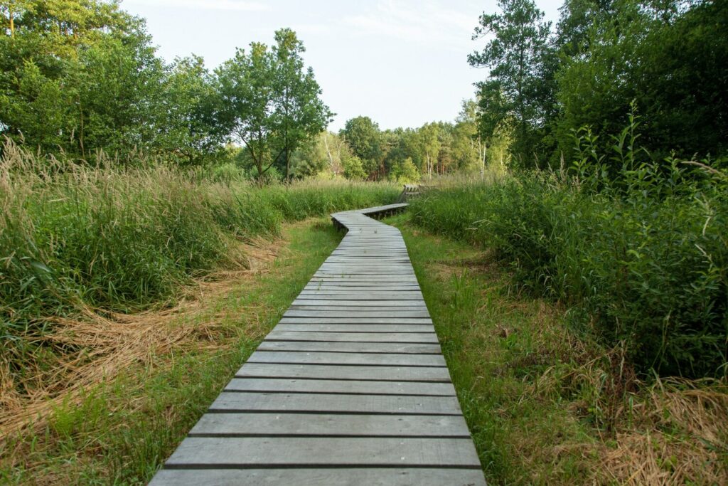 Ponton en bois dans une prairie verte, séances de sophrologie à Narbonne avec Véronique Marquier