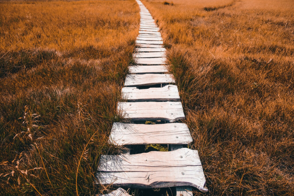 Chemin de planches dans les herbes d'automne, avancer pas à pas avec la sophrologie à Narbonne